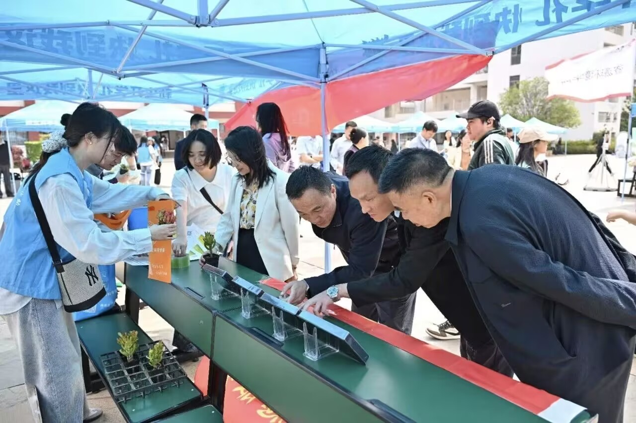 地4233.jpg